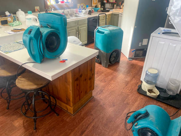Best Fire Damage Restoration  in Bethel Island, CA