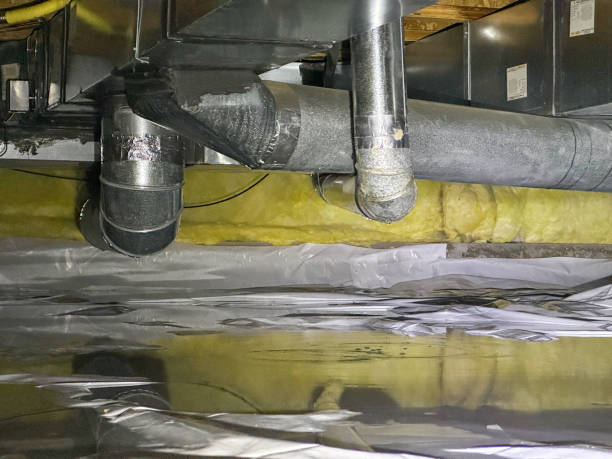  Bethel Island, CA Water damage restoration Pros