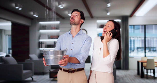 Best Water damage restoration company  in Bethel Island, CA