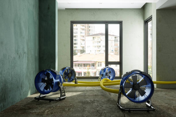 Best Water damage mitigation services  in Bethel Island, CA